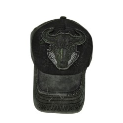 Black Cloth Bullhead Baseball Cap