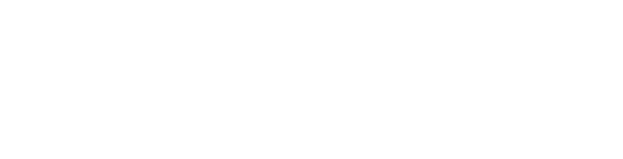 XING DYNAMIC INC